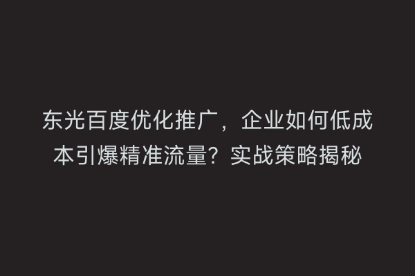 东光百度优化推广，企业如何低成本引爆精准流量？实战策略揭秘