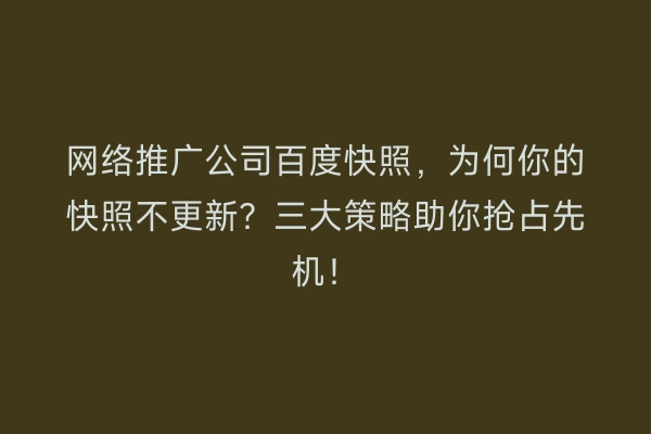 网络推广公司百度快照，为何你的快照不更新？三大策略助你抢占先机！