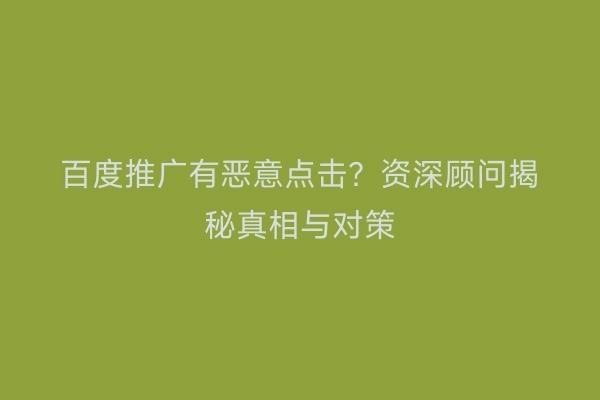 百度推广有恶意点击?资深顾问揭秘真相与对策