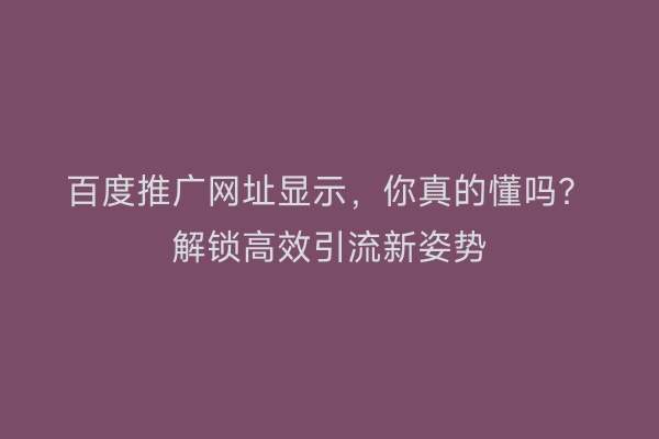 百度推广网址显示，你真的懂吗？解锁高效引流新姿势
