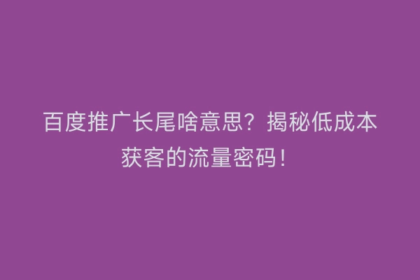 百度推广长尾啥意思？揭秘低成本获客的流量密码！