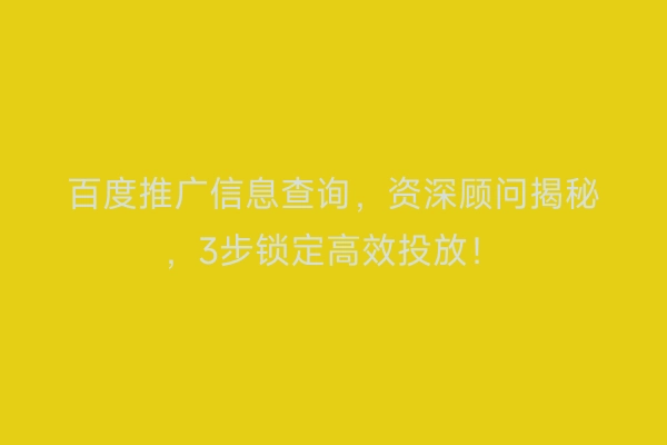 百度推广信息查询，资深顾问揭秘，3步锁定高效投放！