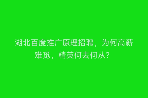 湖北百度推广原理招聘，为何高薪难觅，精英何去何从？