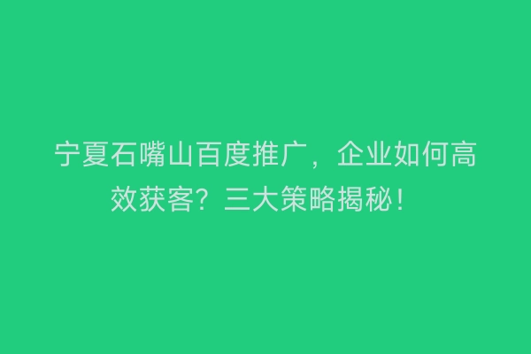 宁夏石嘴山百度推广，企业如何高效获客？三大策略揭秘！