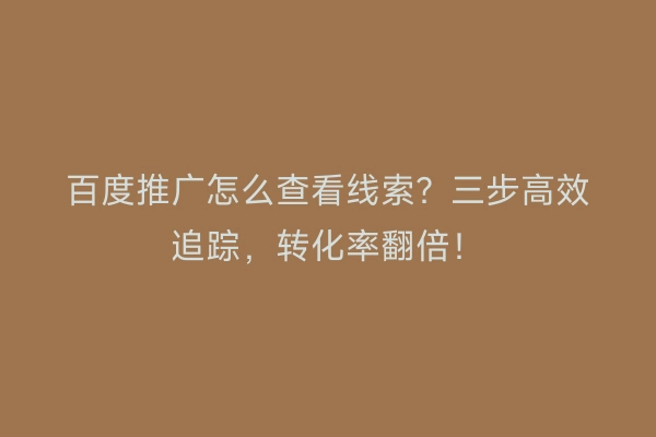 百度推广怎么查看线索?三步高效追踪,转化率翻倍!