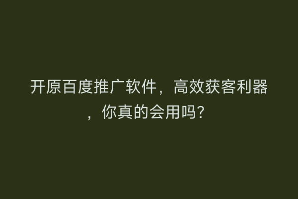 开原百度推广软件，高效获客利器，你真的会用吗？