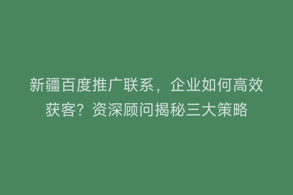 新疆百度推广联系，企业如何高效获客？资深顾问揭秘三大策略