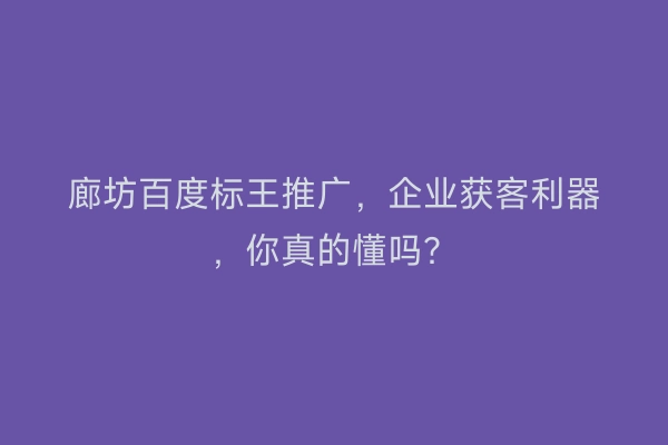 廊坊百度标王推广，企业获客利器，你真的懂吗？