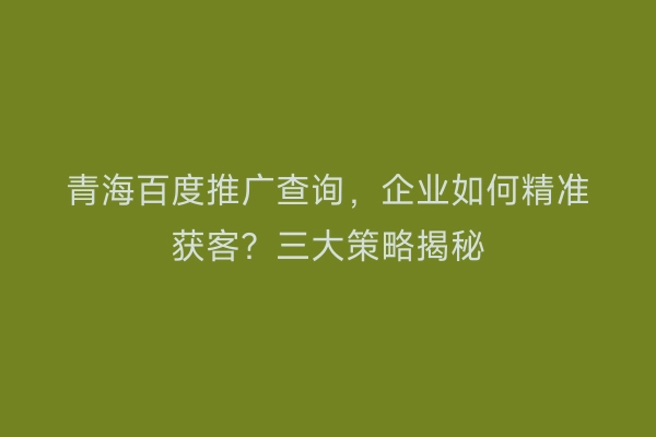青海百度推广查询，企业如何精准获客？三大策略揭秘