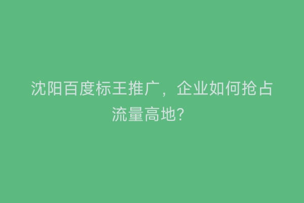 沈阳百度标王推广，企业如何抢占流量高地？