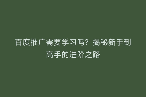 百度推广需要学习吗？揭秘新手到高手的进阶之路