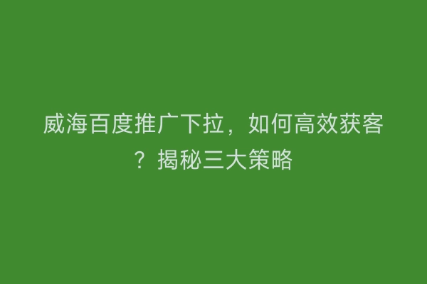 威海百度推广下拉，如何高效获客？揭秘三大策略