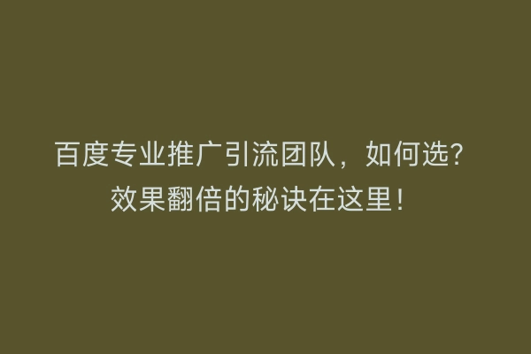 百度专业推广引流团队，如何选？效果翻倍的秘诀在这里！