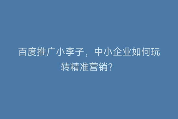 百度推广小李子，中小企业如何玩转精准营销？