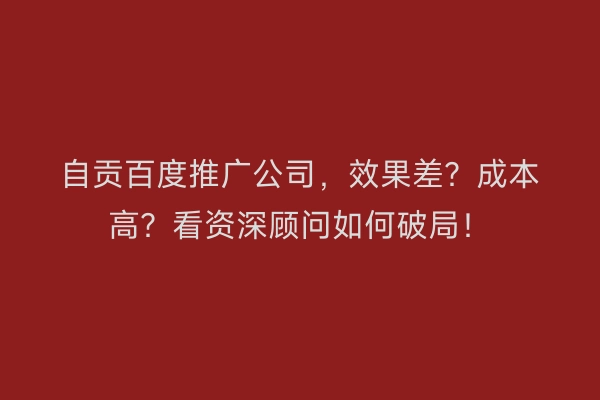 自贡百度推广公司，效果差？成本高？看资深顾问如何破局！