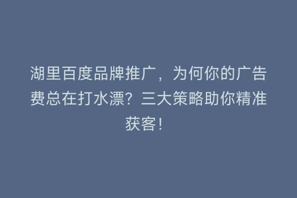 湖里百度品牌推广，为何你的广告费总在打水漂？三大策略助你精准获客！