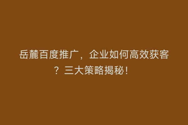 岳麓百度推广，企业如何高效获客？三大策略揭秘！