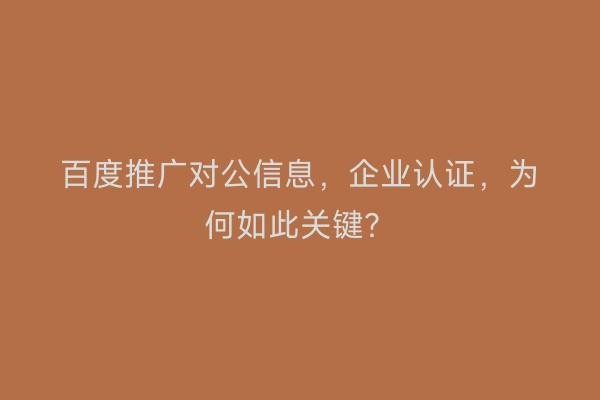 百度推广对公信息，企业认证，为何如此关键？