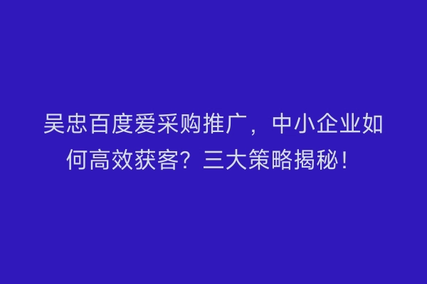 吴忠百度爱采购推广，中小企业如何高效获客？三大策略揭秘！