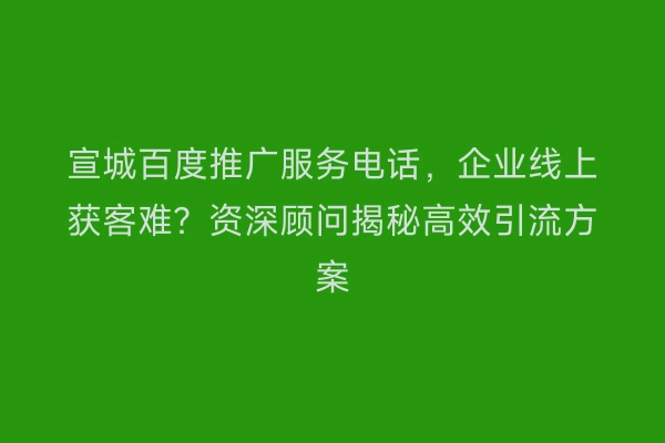 宣城百度推广服务电话，企业线上获客难？资深顾问揭秘高效引流方案