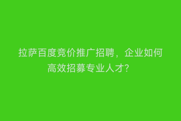 拉萨百度竞价推广招聘，企业如何高效招募专业人才？