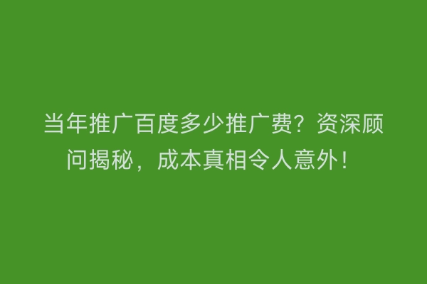 当年推广百度多少推广费？资深顾问揭秘，成本真相令人意外！