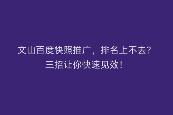 文山百度快照推广，排名上不去？三招让你快速见效！