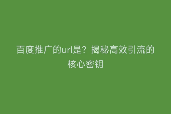 百度推广的url是？揭秘高效引流的核心密钥