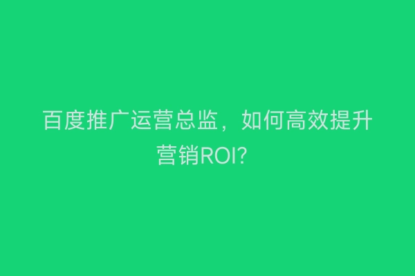 百度推广运营总监，如何高效提升营销ROI？