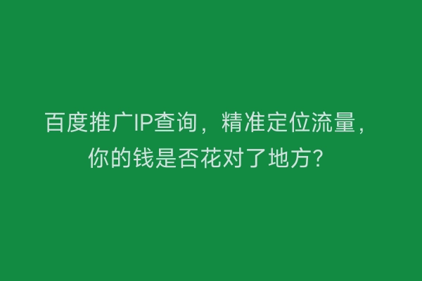 百度推广IP查询，精准定位流量，你的钱是否花对了地方？