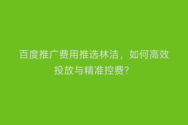 百度推广费用推选林洁，如何高效投放与精准控费？