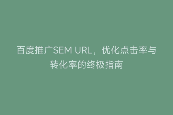 百度推广SEM URL，优化点击率与转化率的终极指南
