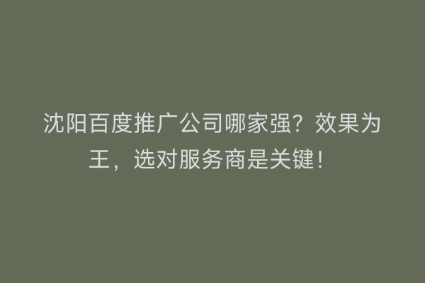 沈阳百度推广公司哪家强？效果为王，选对服务商是关键！