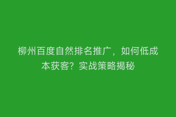 柳州百度自然排名推广，如何低成本获客？实战策略揭秘