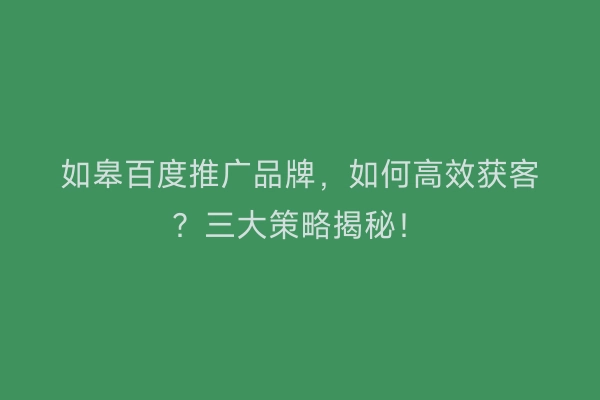 如皋百度推广品牌，如何高效获客？三大策略揭秘！