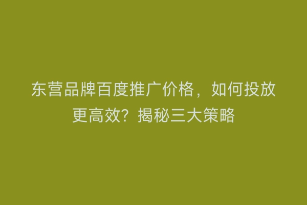 东营品牌百度推广价格，如何投放更高效？揭秘三大策略