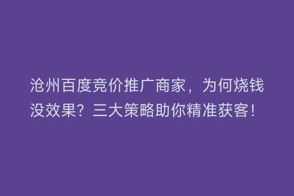沧州百度竞价推广商家,为何烧钱没效果?三大策略助你精准获客!